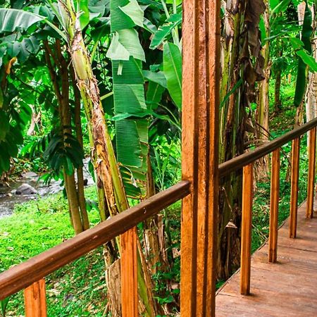 Rio do Ouro Eco-Porヴィラ エクステリア 写真