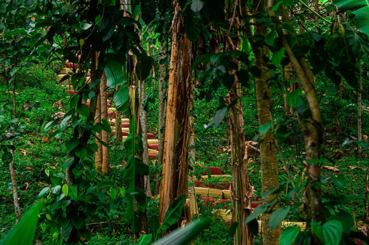 Rio do Ouro Eco-Porヴィラ エクステリア 写真