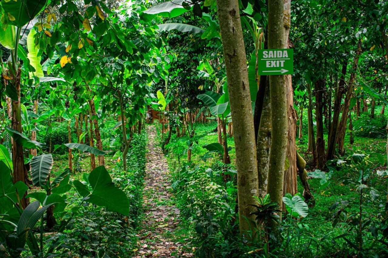 Rio do Ouro Eco-Porヴィラ エクステリア 写真
