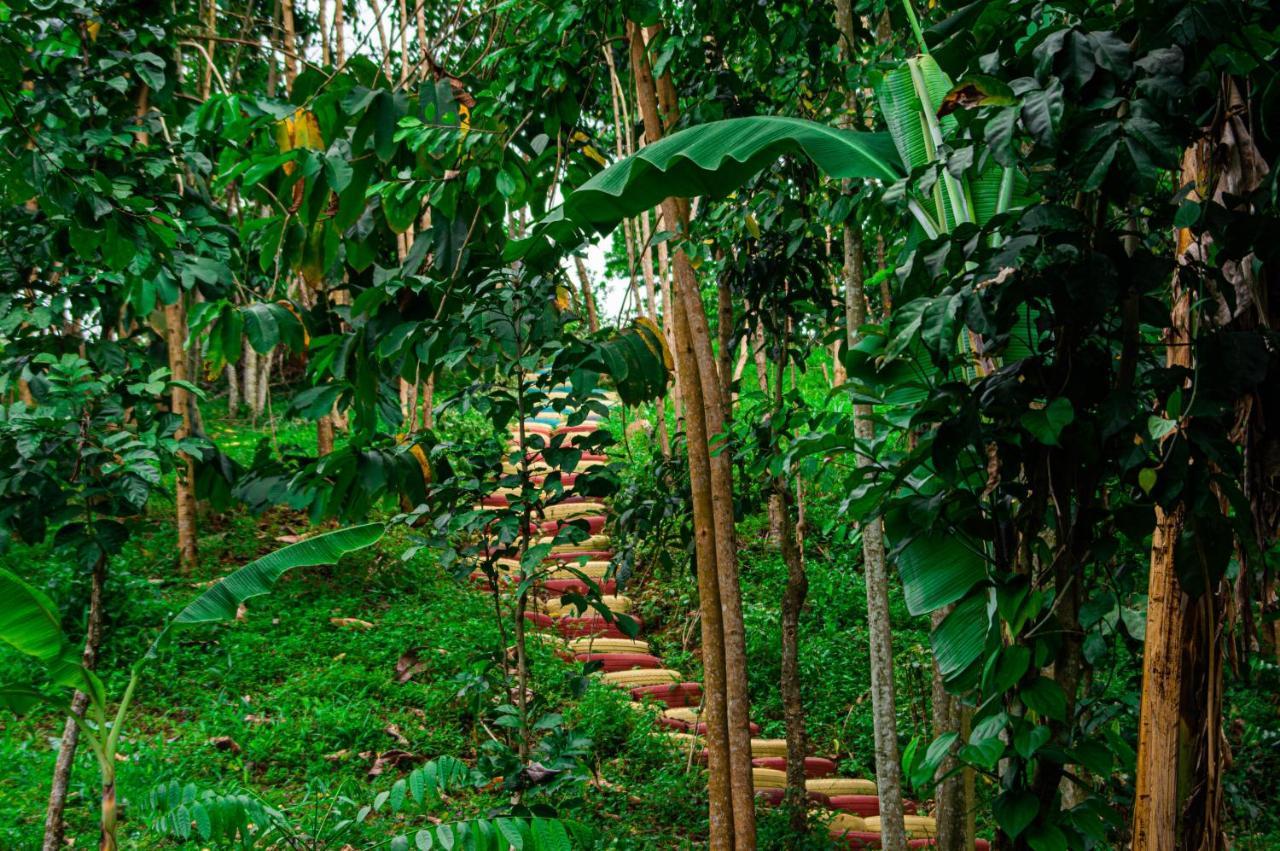 Rio do Ouro Eco-Porヴィラ エクステリア 写真