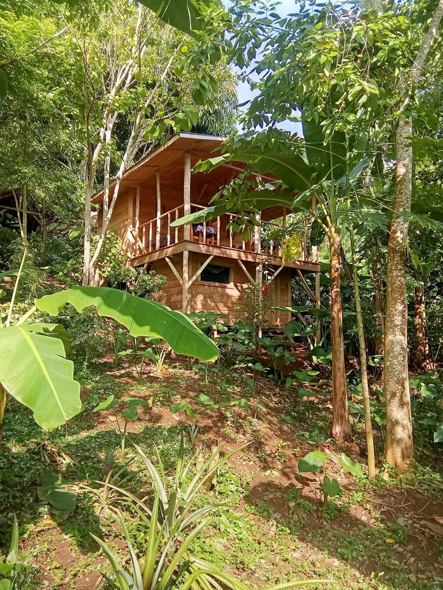 Rio do Ouro Eco-Porヴィラ エクステリア 写真